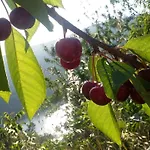 Dom wakacyjny Casa Campacinas Casas Vacacional Con Vistas Del Rio *