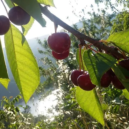 Prázdninový dům Casa Campacinas Casas Vacacional Con Vistas Del Rio *