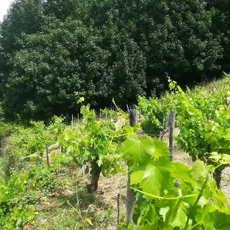 Casa Campacinas Casas Vacacional Con Vistas Del Rio O Carballo